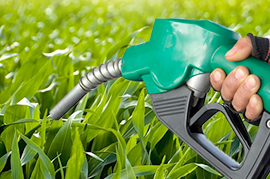 Biofuels & Synthetic Lubricants